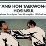 Chang-Hon-Taekwon-Do-Hosinsul 480