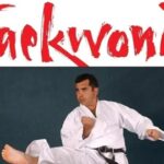 Taekwondo-Complete-ITF-Patterns-480